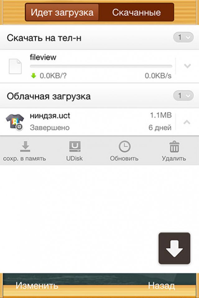    UC Browser 8.9  iPhone